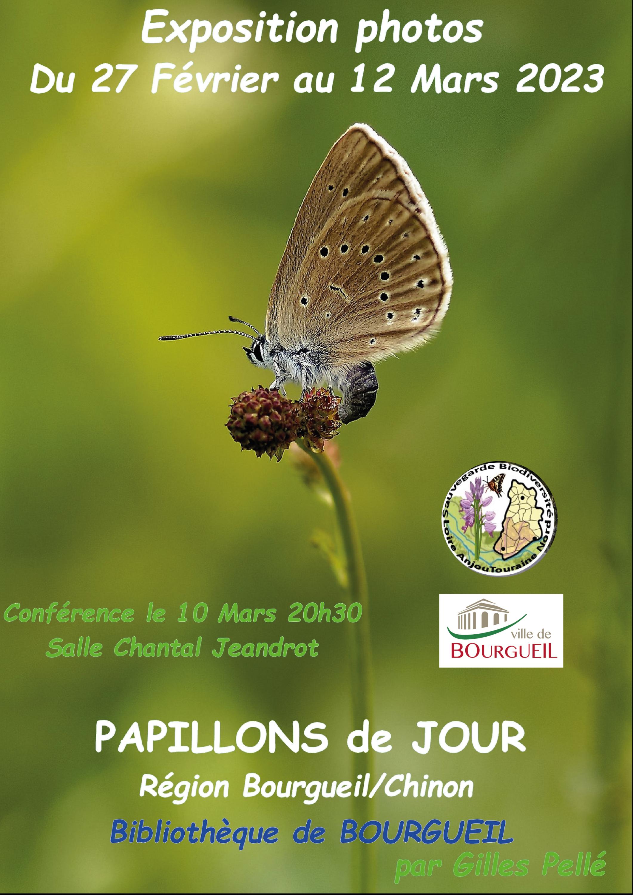 Exposition photos et conférence sur les papillons de jour du Bourgueillois et du Chinonais