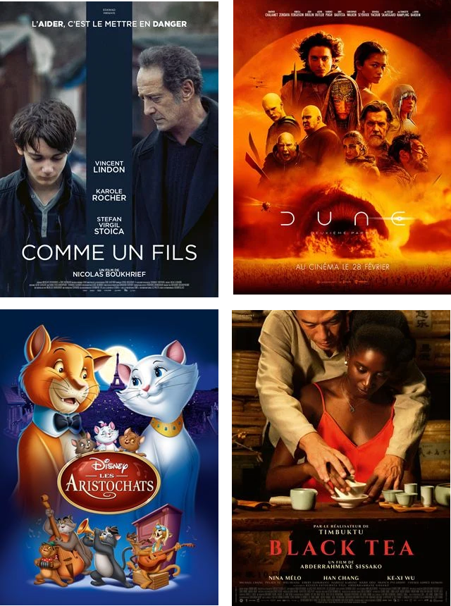 A l’affiche au cinéma de l’Amicale