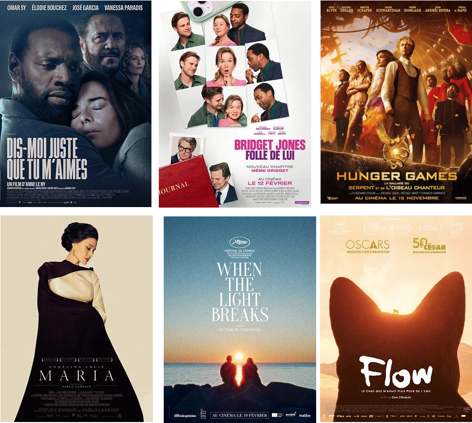 A l’affiche au cinéma de l’Amicale