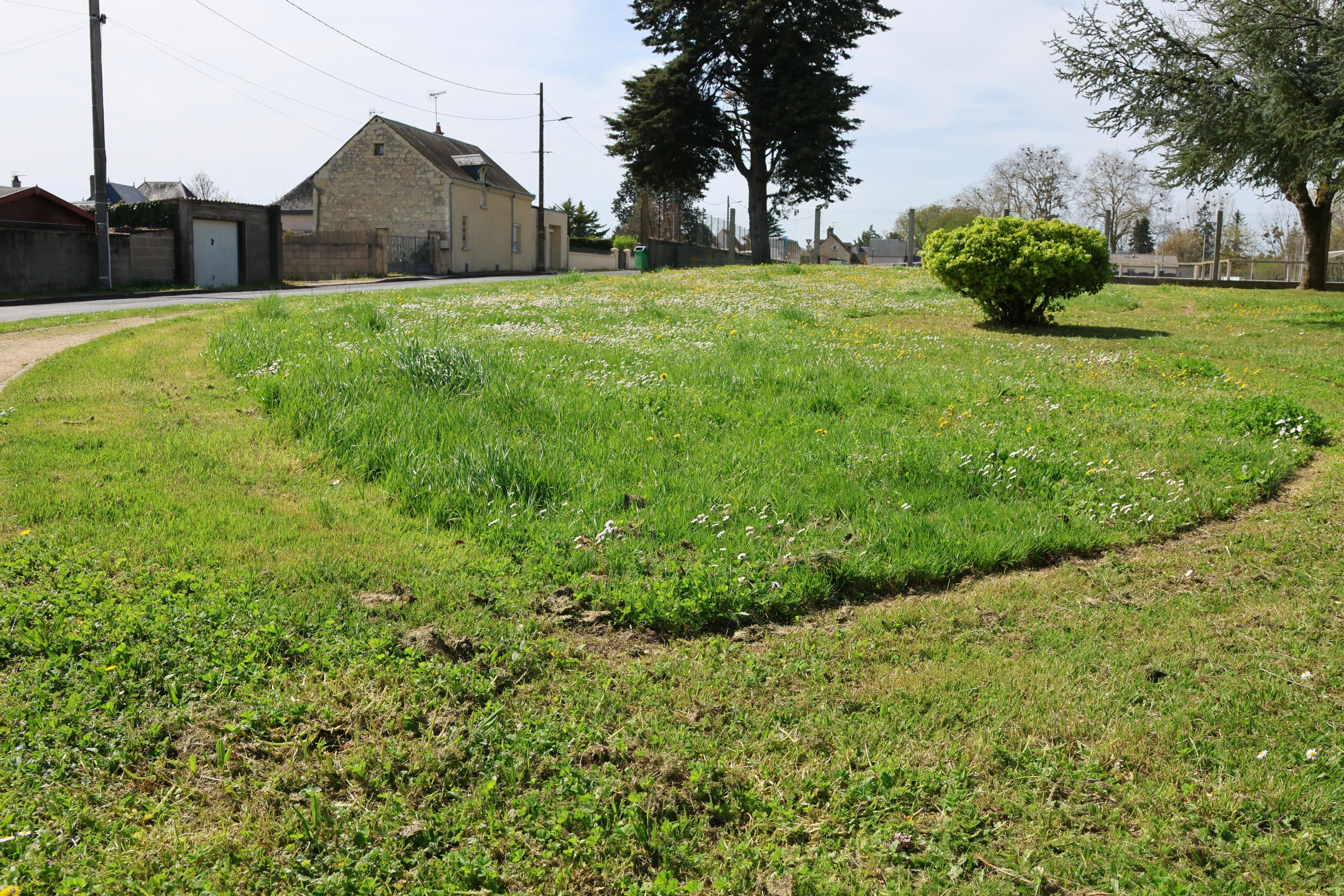 Conférence sur la renaturation du centre-ville de Bourgueil