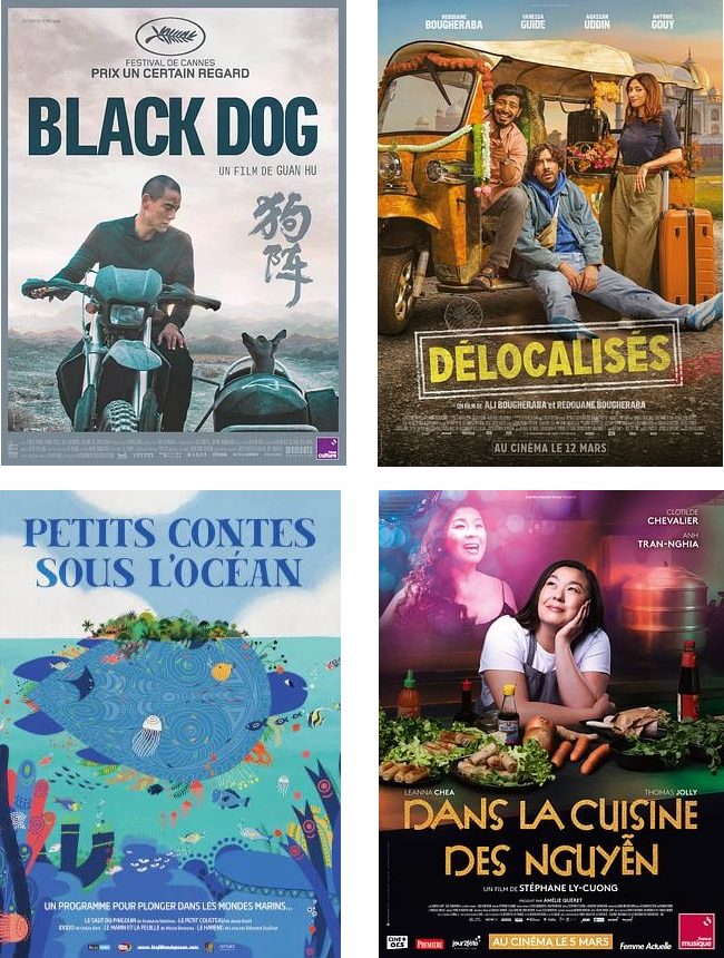 A l’affiche au cinéma de l’Amicale